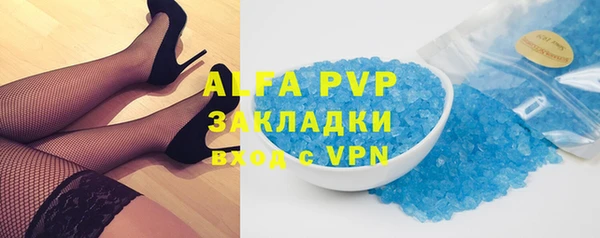 прущие грибы Гусиноозёрск