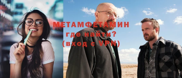 прущие грибы Гусиноозёрск