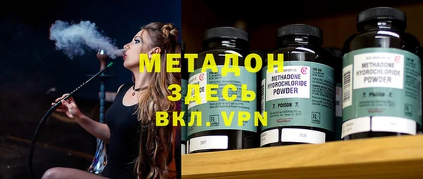 прущие грибы Гусиноозёрск
