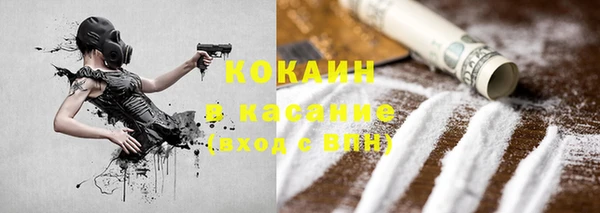 прущие грибы Гусиноозёрск