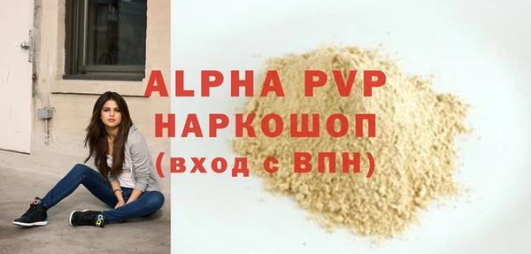прущие грибы Гусиноозёрск