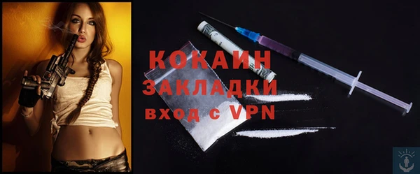 кокс Дмитриев