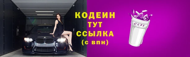 apvp Гусь-Хрустальный