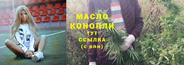 прущие грибы Гусиноозёрск
