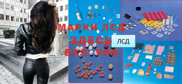 прущие грибы Гусиноозёрск