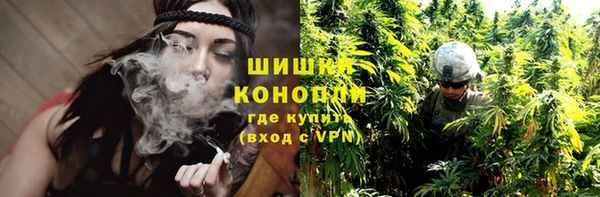 apvp Гусь-Хрустальный