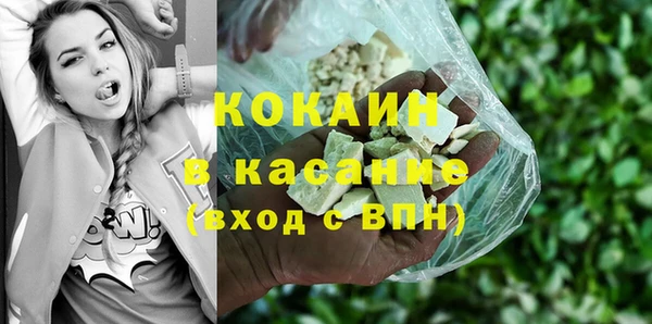 прущие грибы Гусиноозёрск