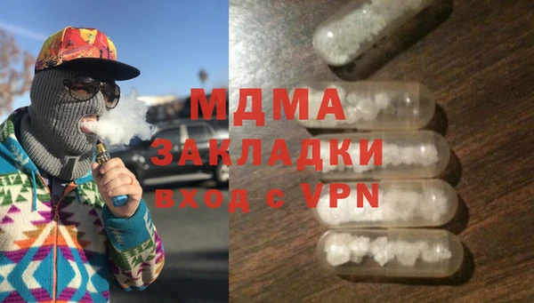 прущие грибы Дмитровск