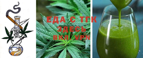 прущие грибы Гусиноозёрск