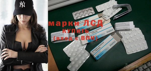 прущие грибы Гусиноозёрск