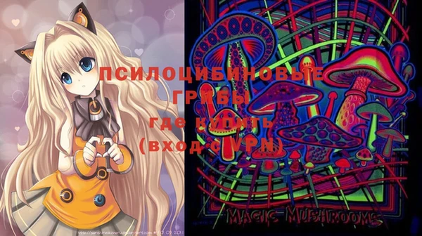 apvp Гусь-Хрустальный