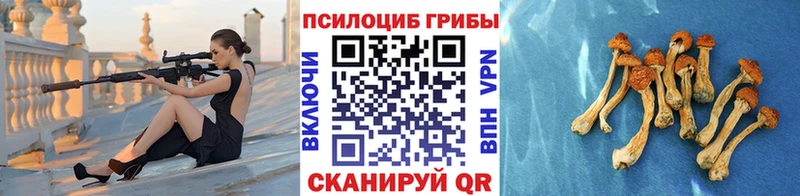 Псилоцибиновые грибы Psilocybine cubensis  Купить где  Стерлитамак 